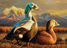 የ 2025–2026 ፌደራል ዳክ ማህተም ምስል