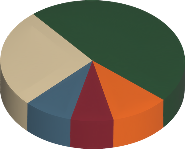 የDWR ካፒታል ፕሮጀክት ምድቦችን የሚያሳይ የፓይ ገበታ