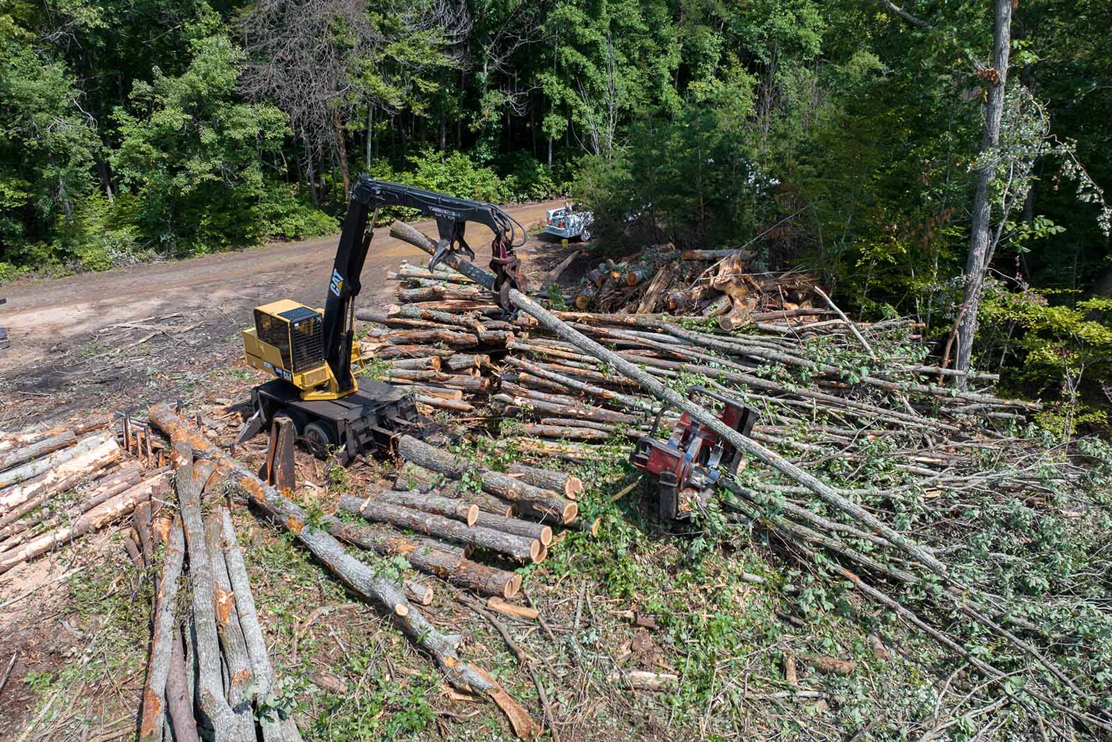 የWMA የድርጊት እቅድ ማውጣት