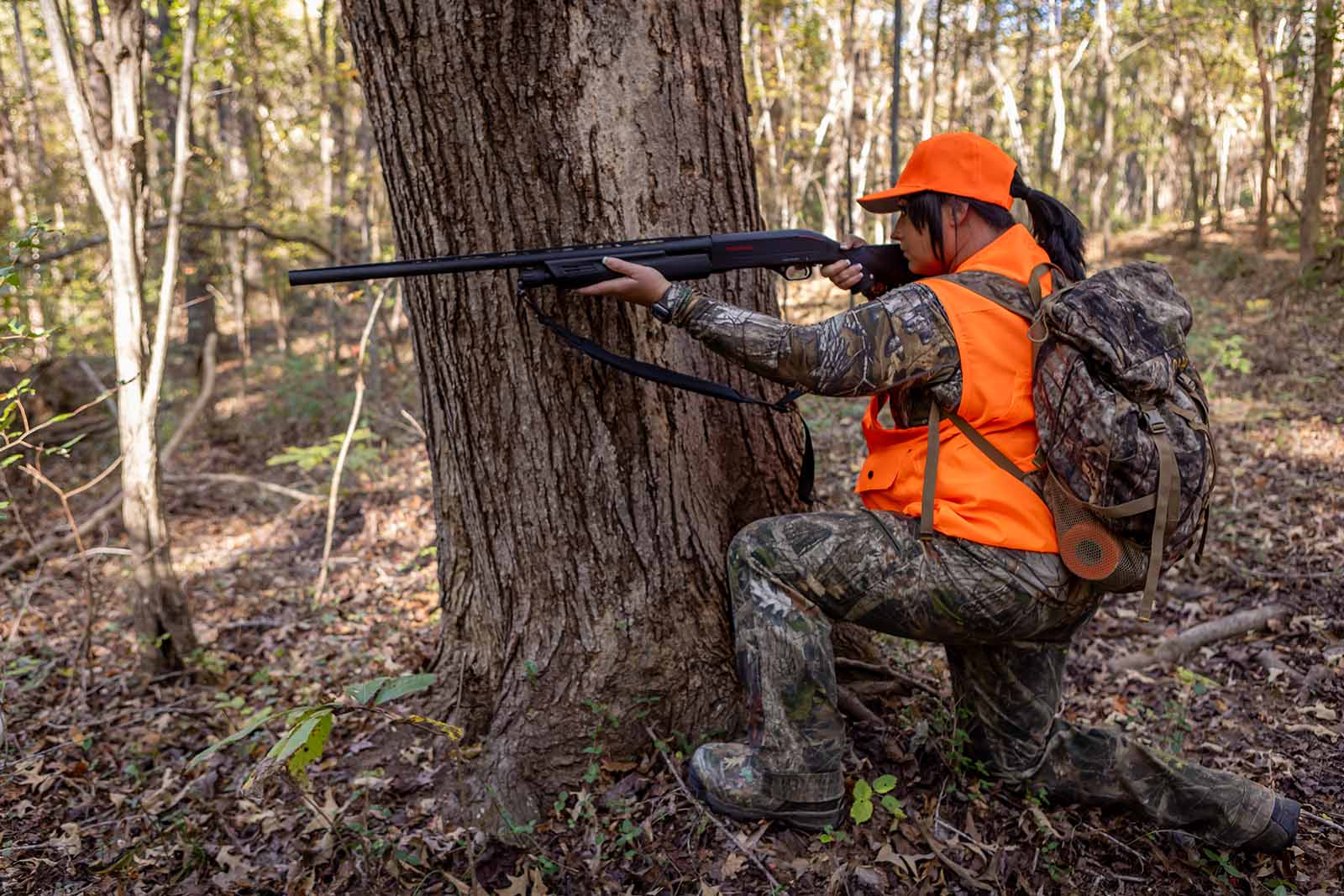 የአጋዘን የጦር መሳሪያዎች ወቅቶች ተዘርግተዋል