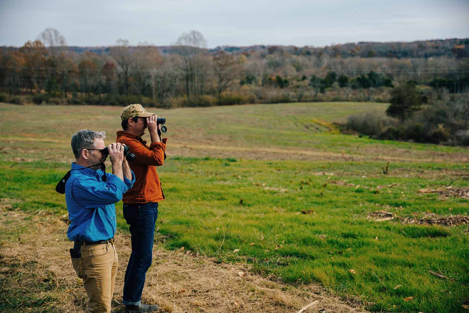 የዲያብሎስ የጀርባ አጥንት ጠመቃ ኩባንያ