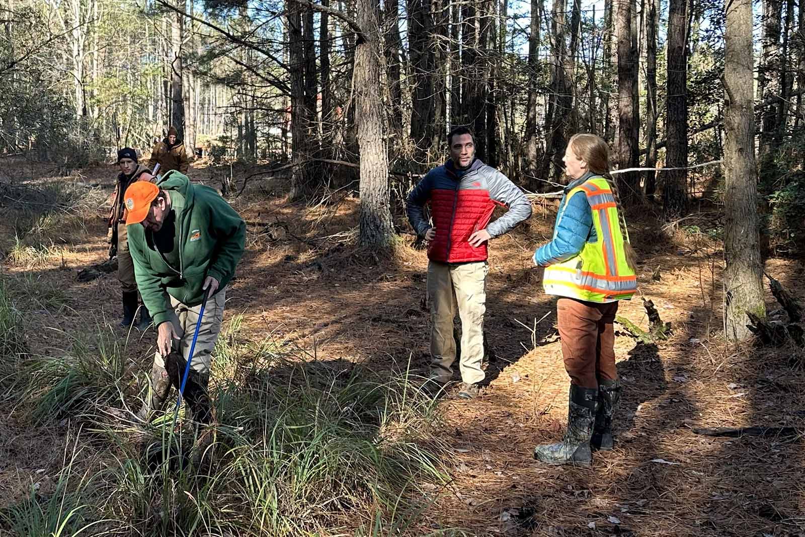 በዱር እንስሳት ላይ የሚደርሰውን ተጽዕኖ መገምገም