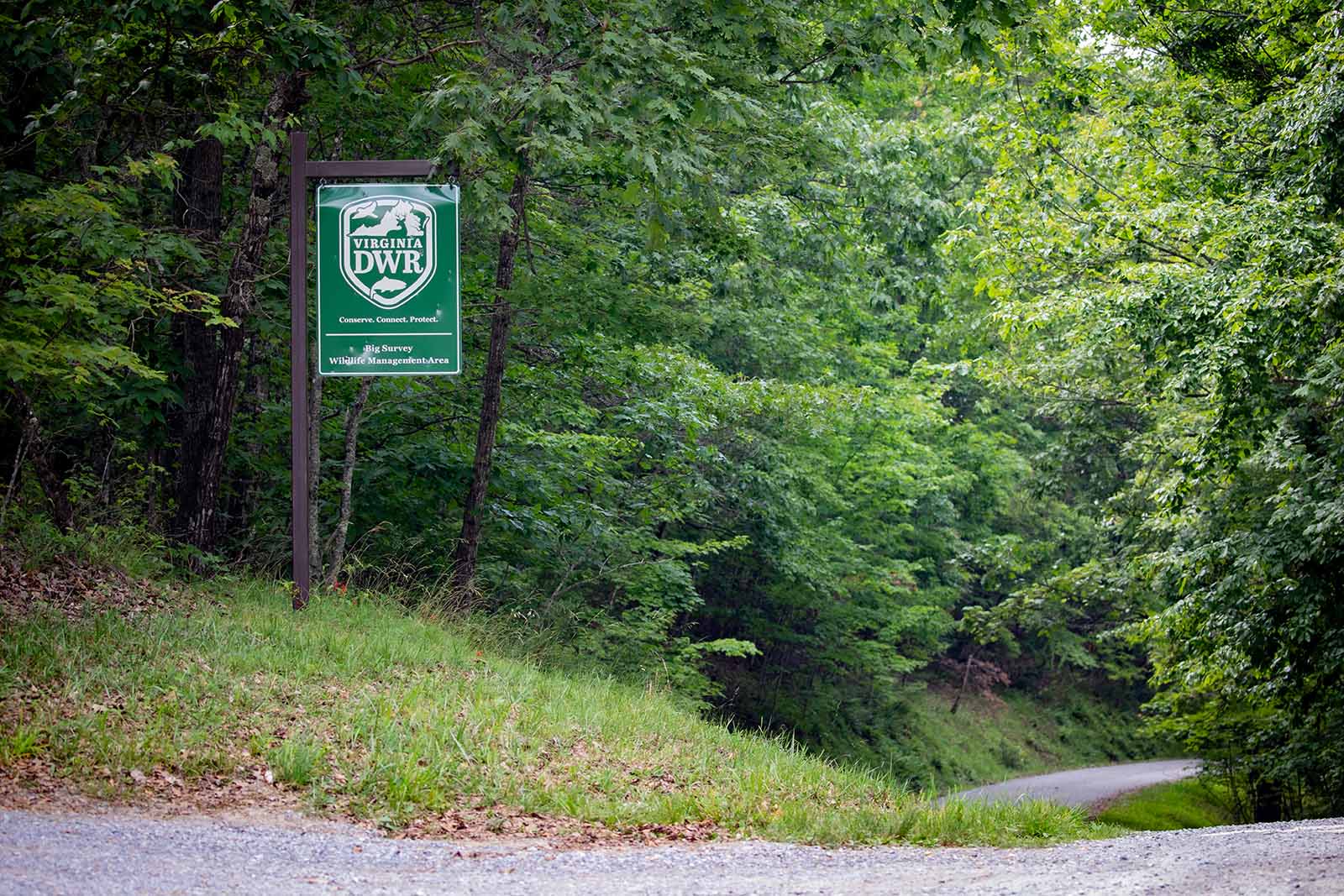 የገንዘብ ድጋፍ እንዴት እንደምናገኝ እና እንዴት እንደምንጠቀም