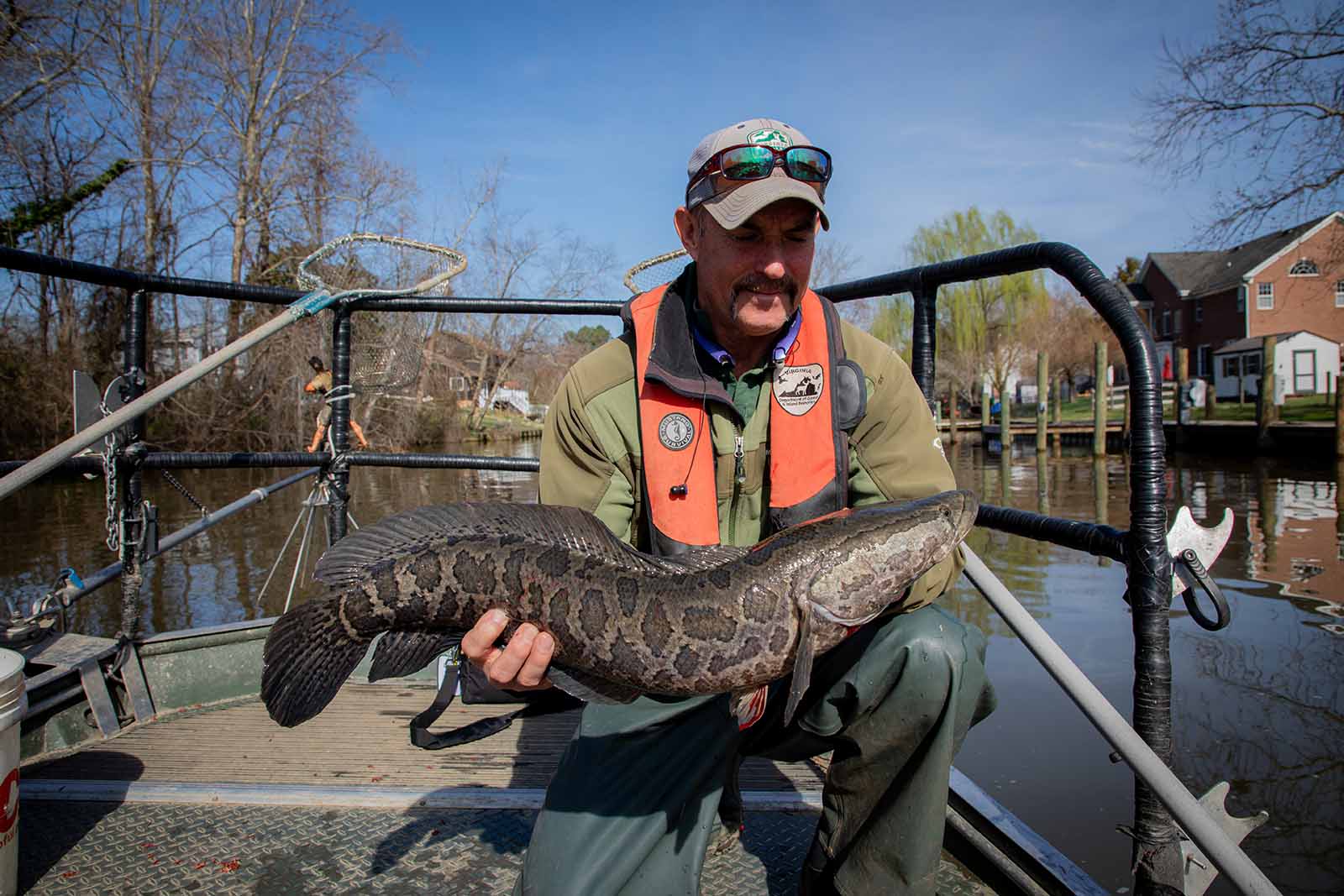 የተመረመሩ ወራሪ ዝርያዎች