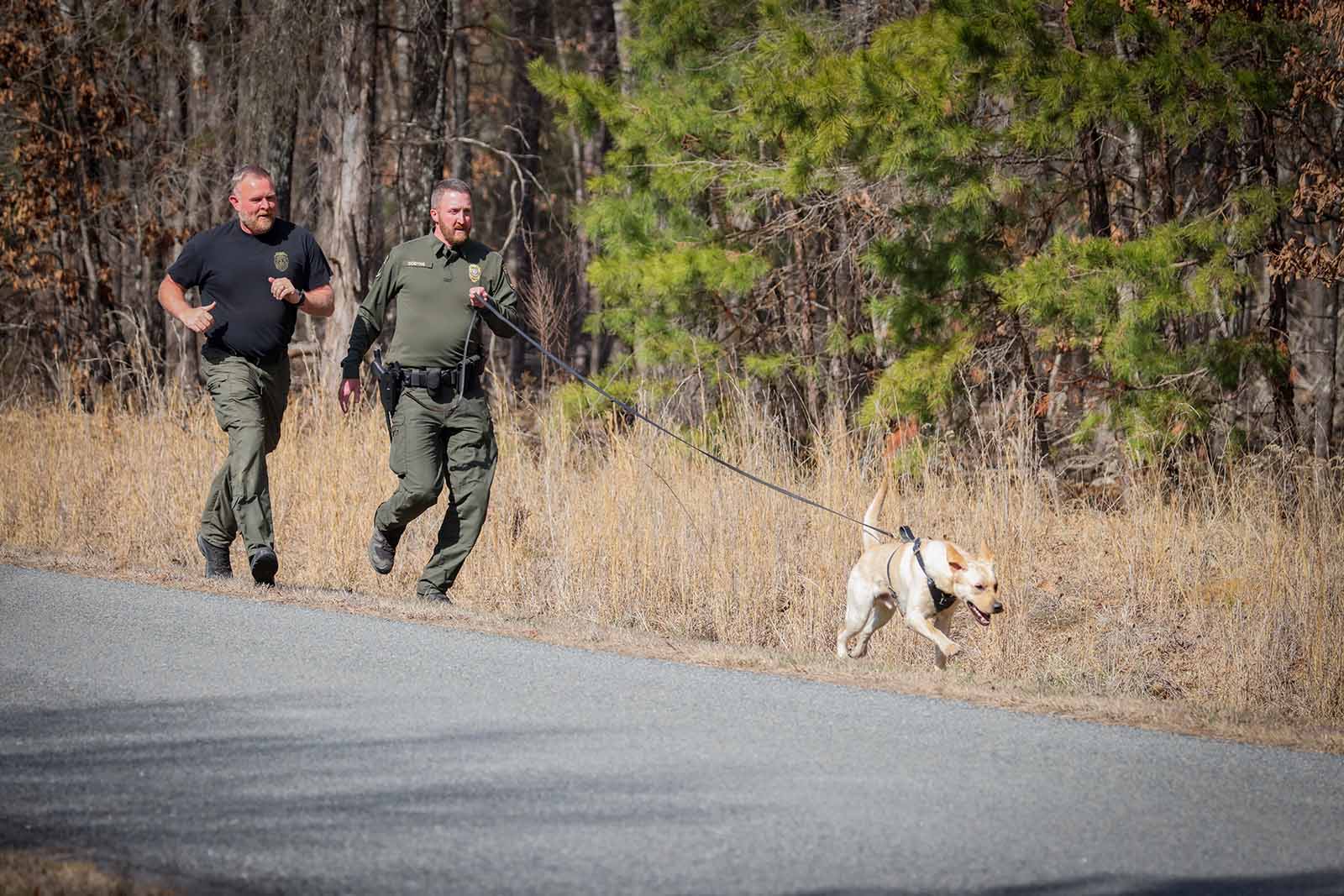 K9ዎች አቅምን ማስፋት