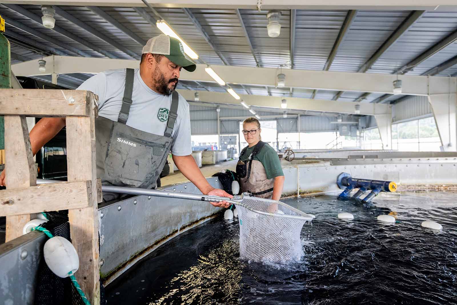 በሚሊዮን የሚቆጠሩ ዓሳዎች ተከማችተዋል።