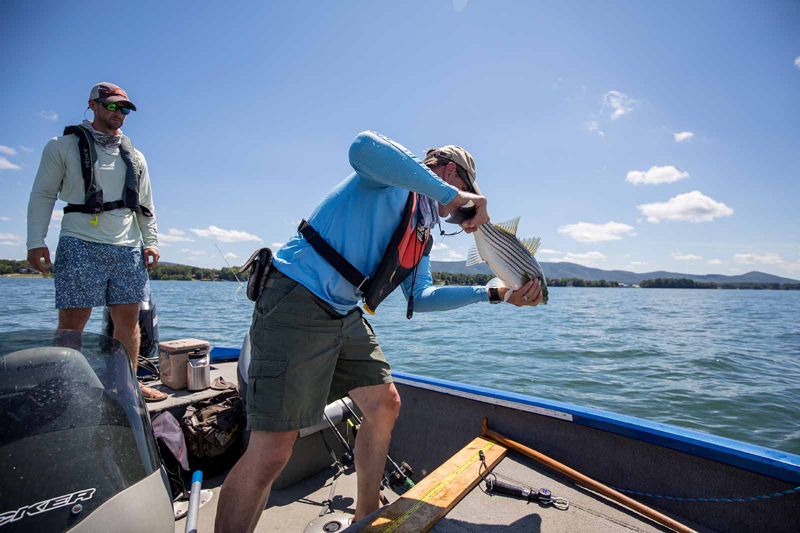 ስትሪፕድ ባስ ሞርታሊቲ ላይ ምርምር ማድረግ