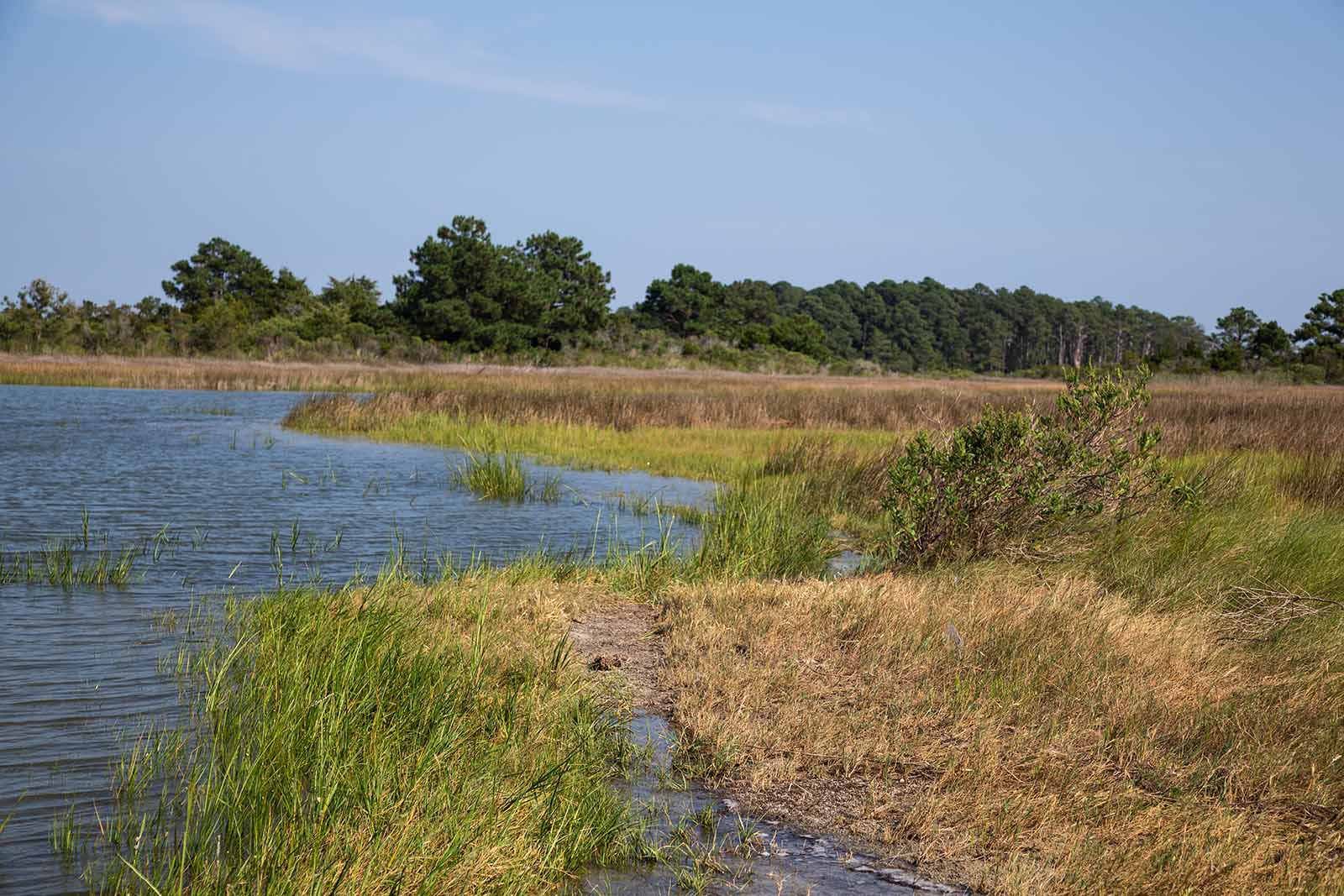 የግንባታ መቋቋም