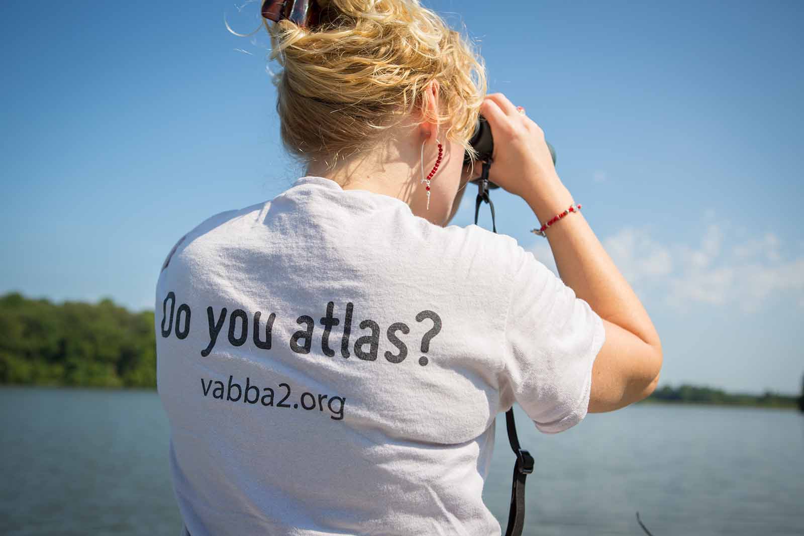 የሁለተኛው የመራቢያ ወፎች አትላስ ተጠናቋል