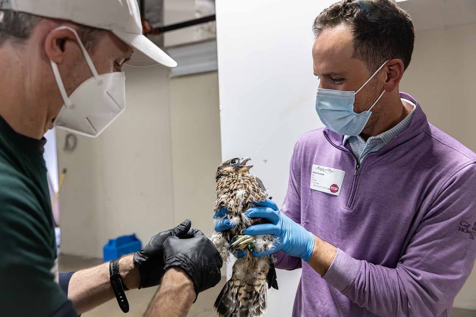 ትሪፕል ክሮሲንግ ቢራ