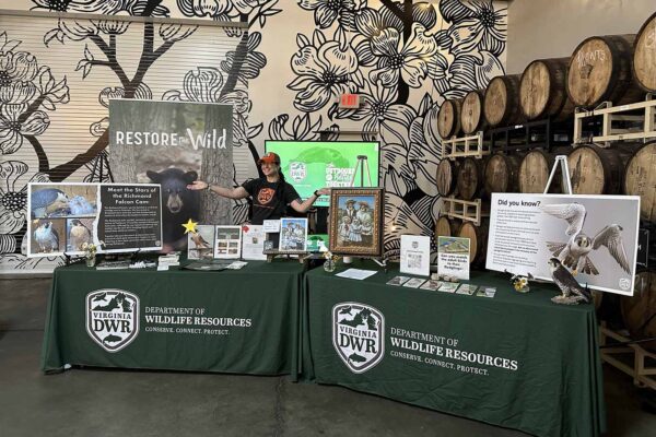 የDWR ሰራተኛ የመረጃ ዳስ ይሰራል