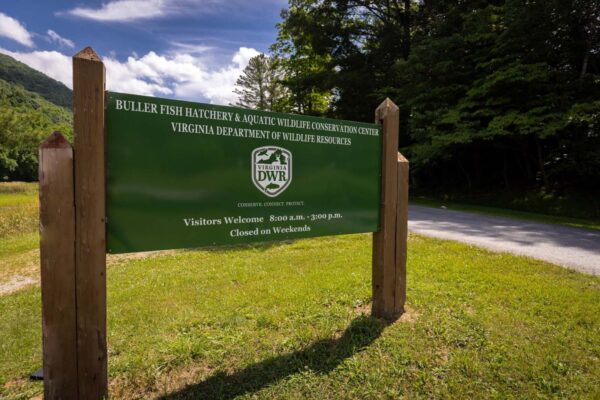 የቡለር ፊሽ ሃቸር የእንኳን ደህና መጣችሁ ምልክት