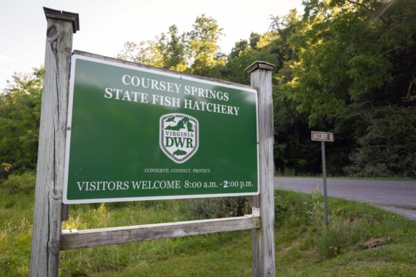 የኮርስሲ ስፕሪንግስ የዓሣ ማጥመጃ ምልክት