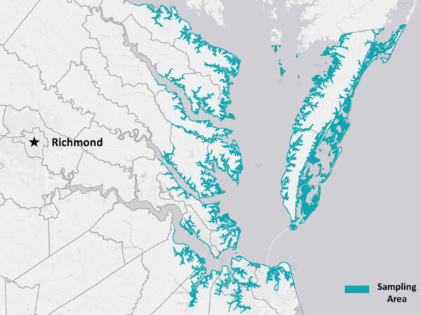 የVirginia የዳይመንድባክ ዳሽ ናሙና የሚወሰድባቸውን አካባቢዎች የሚያሳይ ካርታ - በዋናነት በChesapeake ቤይ እና በአትላንቲክ ውቅያኖስ አቅራቢያ ባሉ የባህር ዳርቻ አካባቢዎች