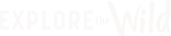 ዱርን ያስሱ