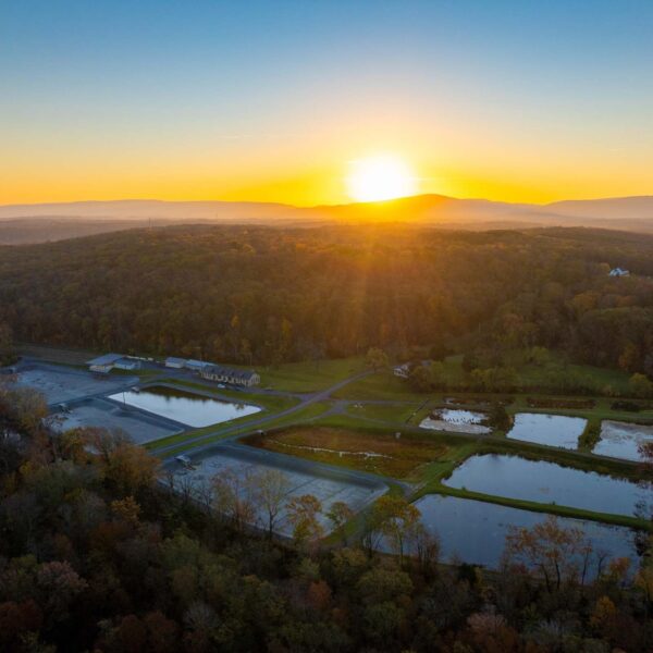 የፊት ሮያል ሃቸር የአየር ላይ እይታ