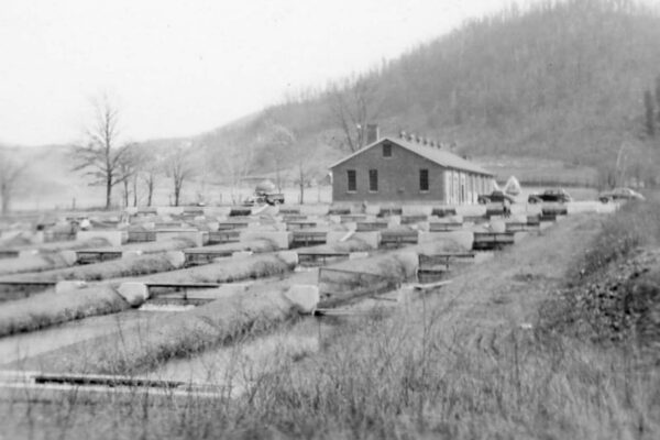 ጥቁር እና ነጭ ምስል፡ በማሪዮን ፊሽ ሃቸርይ የሚገኙ ታሪካዊ የእሽቅድምድም መንገዶች