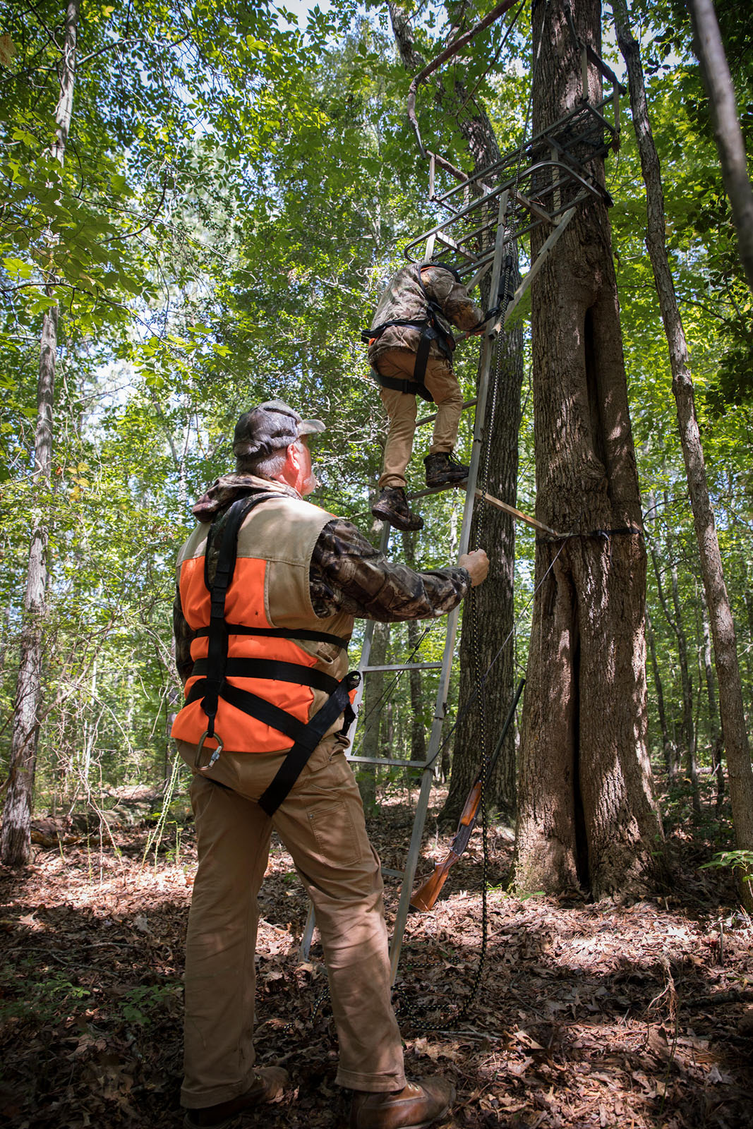 ብርቱካንማ ነበልባል የለበሰ አንድ ትልቅ ሰው ፎቶ እና የደህንነት ታጥቆ ወጣት የደህንነት መታጠቂያ ለብሶ ወደ ዛፍ መወጣጫ ላይ ሲወጣ ሲመለከቱ።