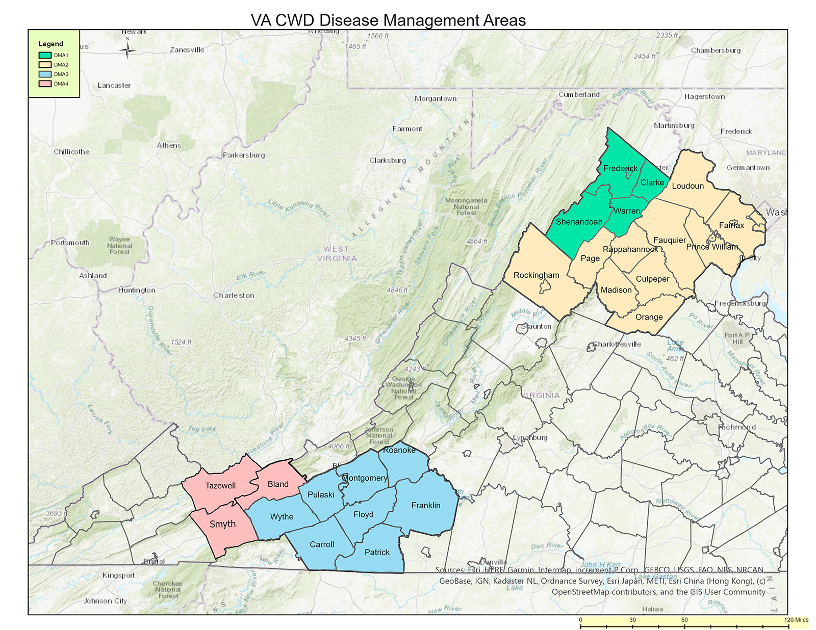 በተለያዩ ቀለማት የተወሰኑ ምዕራባዊ-ጎን ግዛቶች ያሉት የVirginia ካርታ።