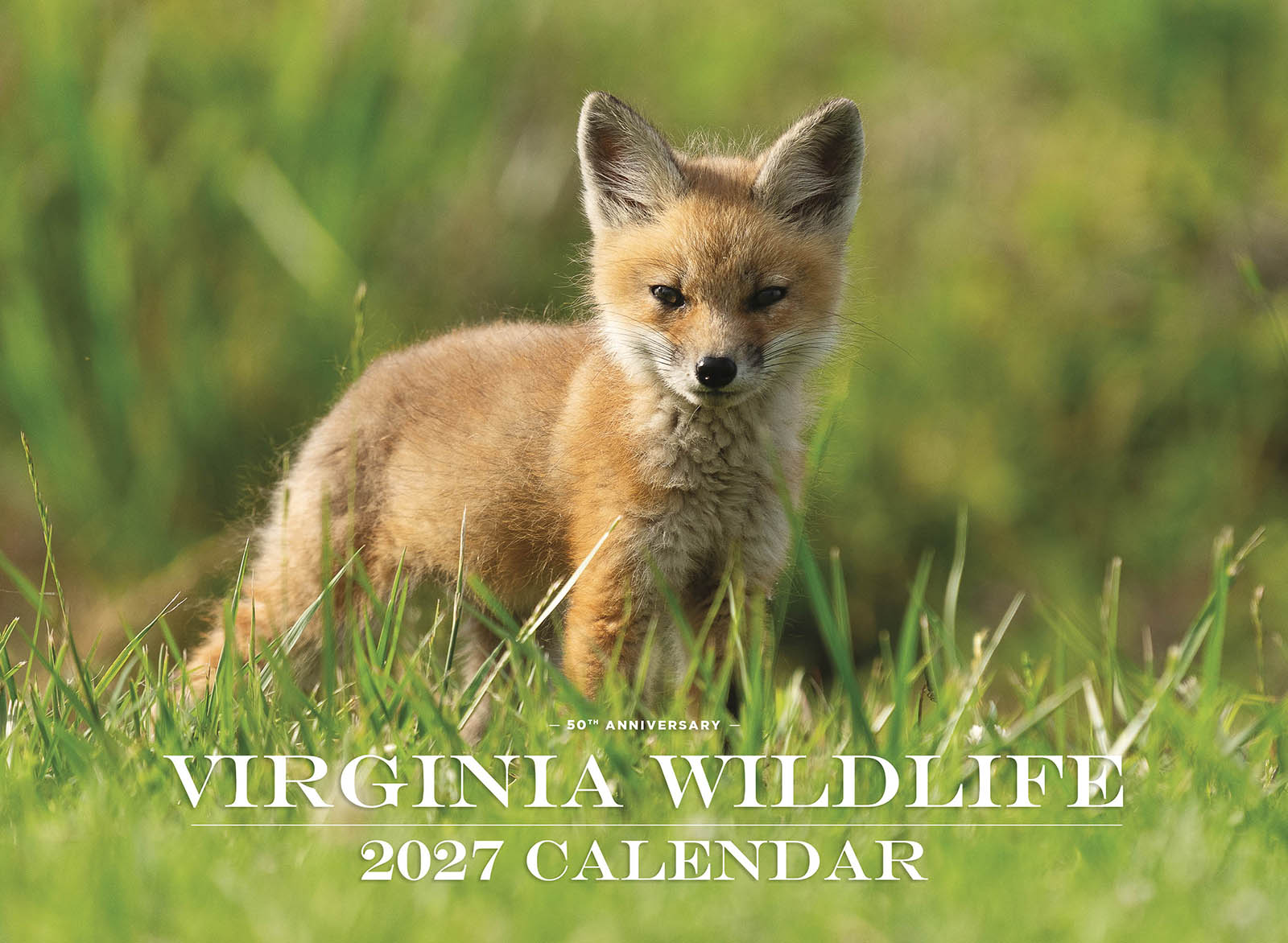 An image of a cute young fox on the cover of a calendar with the text Virginia Wildlife 2027 Calendar.