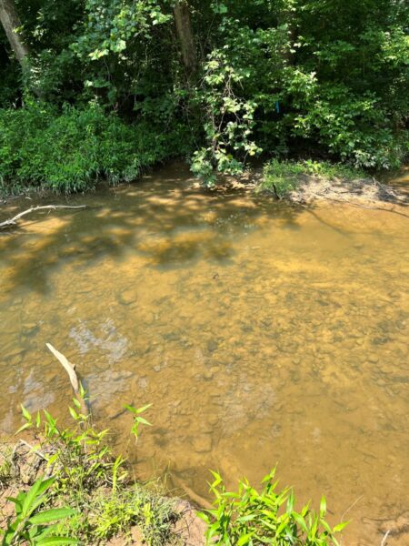 ጄምስ ስፒኒመስሰል ሊያጋጥም የሚችልበት የተለመደ መኖሪያ።