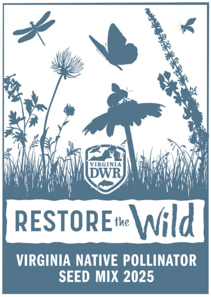 የዘር ፓኬት፣ የቨርጂኒያ ተወላጅ የአበባ ዘር ድብልቅ 2024