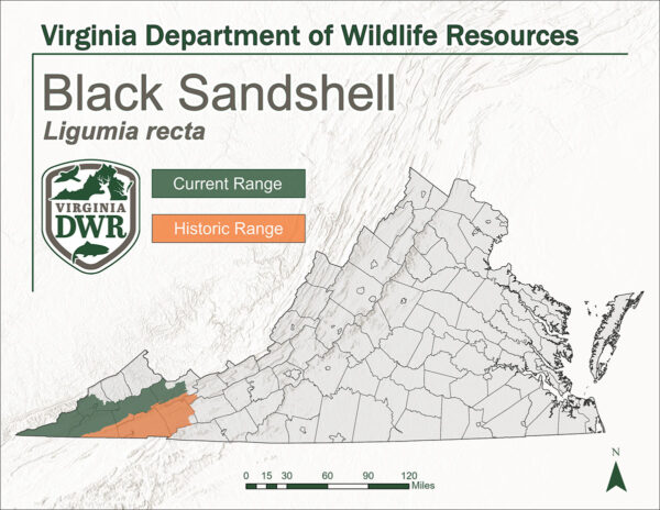 የቨርጂኒያ ካርታ አሁን ያለውን እና ታሪካዊውን የጥቁር ሳንድሼል ክልል የሚዘራ። በክፍለ ሀገሩ ምዕራባዊ ነጥብ ኖረዋል እና ኖረዋል።