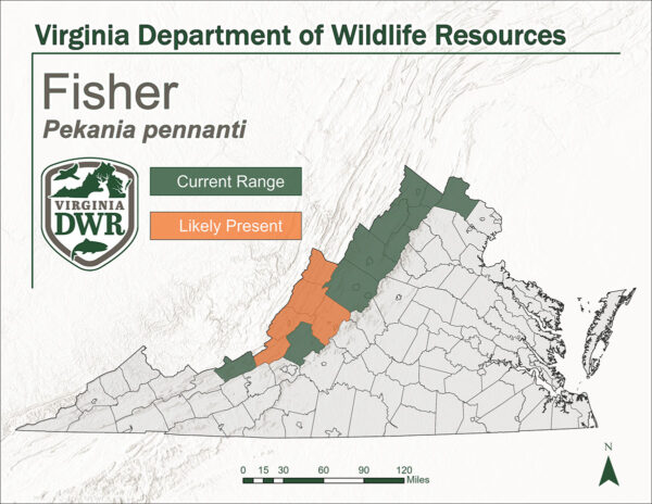 በቨርጂኒያ ውስጥ የአሳ አጥማጆች ስርጭትን የሚያሳይ ካርታ