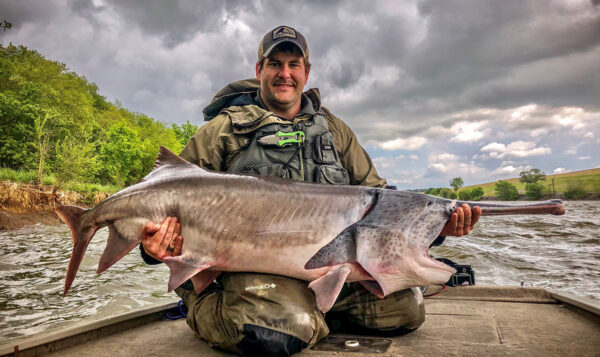 የፓድልፊሽ ምስል