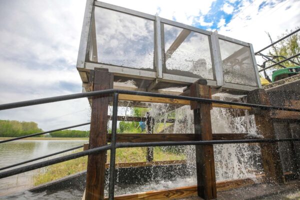 ዓሦችን ወደ ኩሬዎች የሚያጓጉዝ የፍየል ስርዓት።