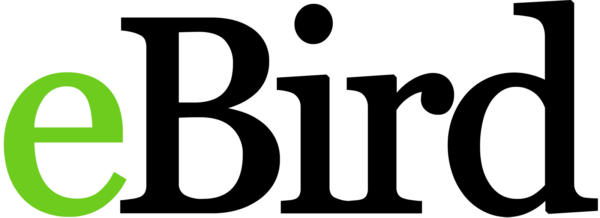 ኢቢርድ