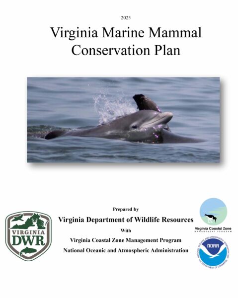 የቨርጂኒያ የባህር አጥቢ እንስሳት ጥበቃ እቅድ ሽፋን