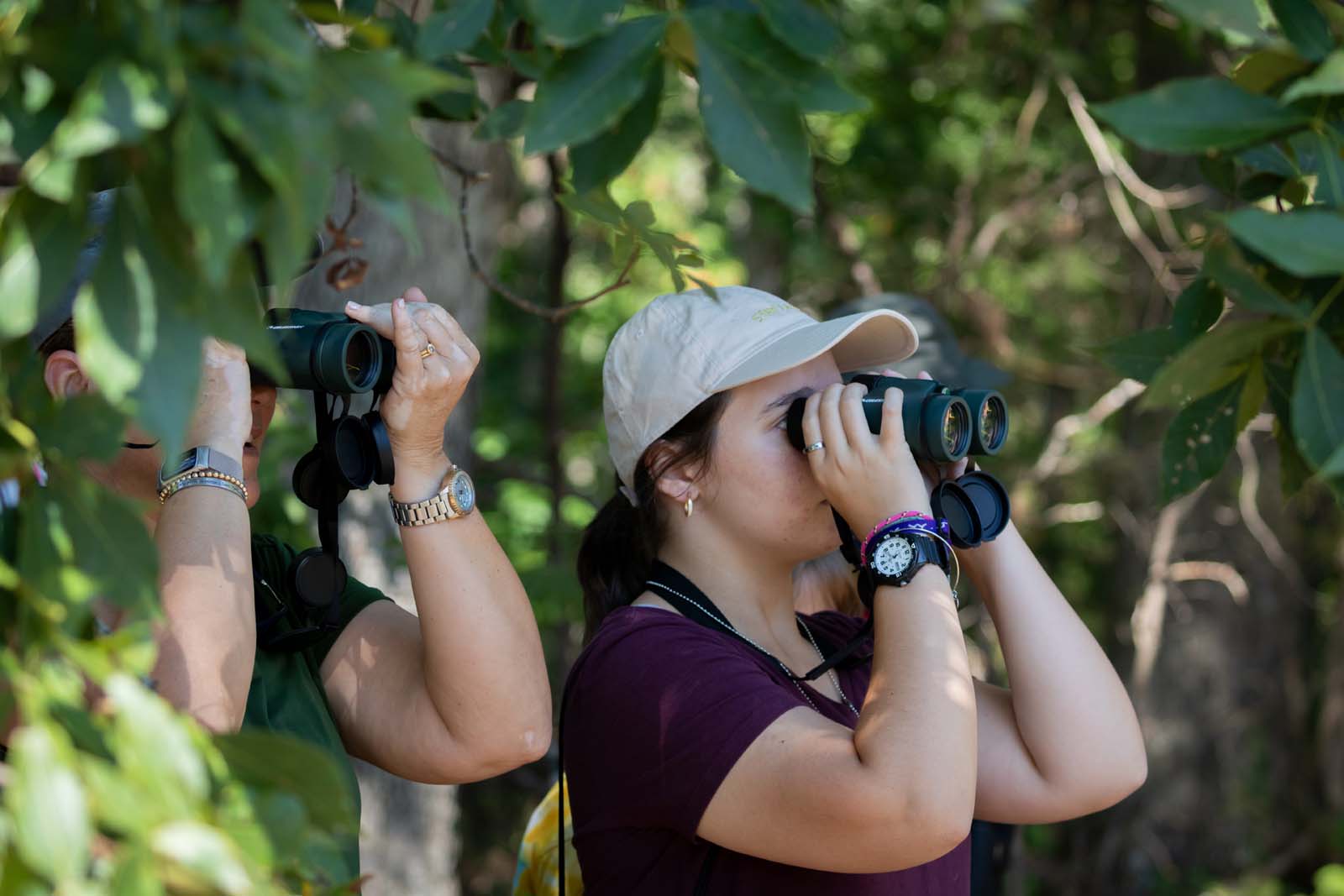 ከዚህ ርዕስ ጋር የተያያዘ ምስል